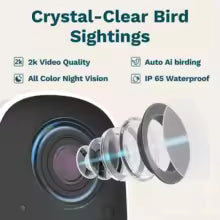 Smart Bird Feeder with Camera Solar Powered, 2K HD AI Identifies 10000+ Birds Auto Capture，Real Time Video 140° Live Stream