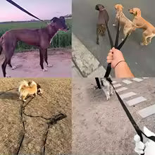 Long Nylon Pet Dog Leash For Small Big Dogs Cats Outdoor Hiking Puppy Lead Rope Strong Labrodor Traction Belt 1.5m 3m 10m 30m
