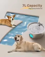 7L Large Capacity Stainless Steel Cat Water Fountain Dog Pet Automatic Drink Fountain Feeder Bowl Window Silent (No 5V 1A Plug)