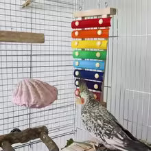 Colorful Bird Xylophone Toy Parrots Chicken Toys Bird Cage Toy Accessories Parakeets and Parrots Toys