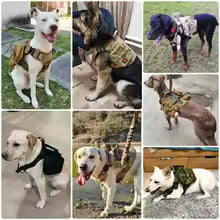 Dog Harness for Large Dogs Collar Leash Molle Pouch Military Harnesses French Bulldog Pet Tactical Training Vest Dog Accessories
